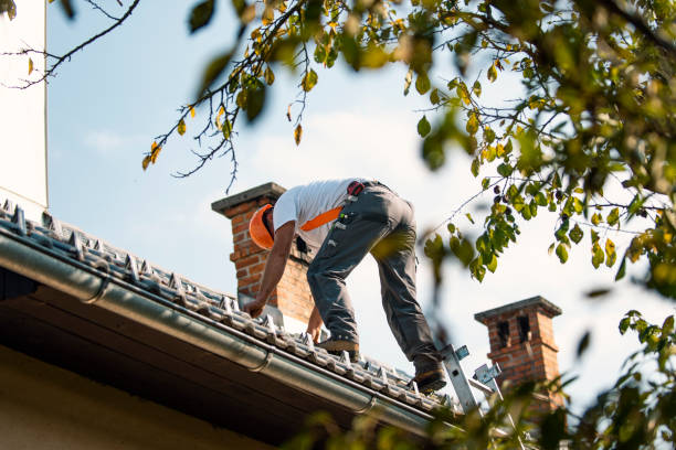 Best Commercial Roofing Services  in Solomon, KS