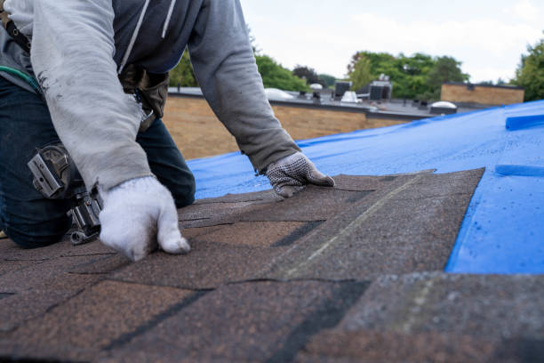 Best Commercial Roof Installation  in Solomon, KS